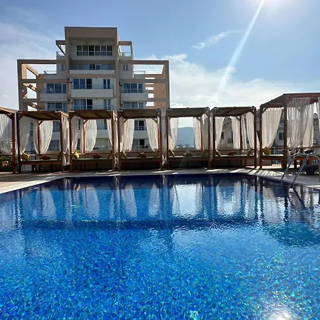 Olivia Palm Hotel