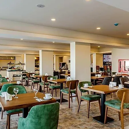 Olivia Palm Hotel 3*