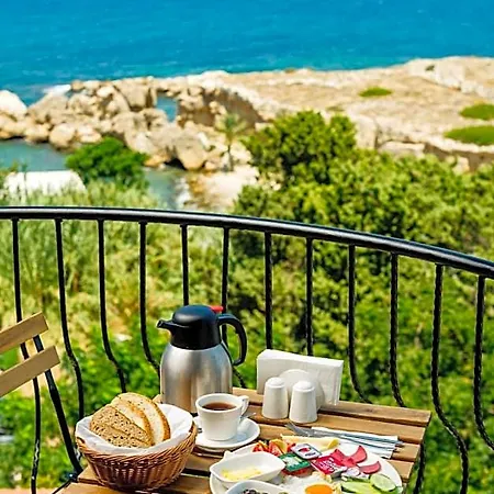 Olivia Palm Hotel 3*