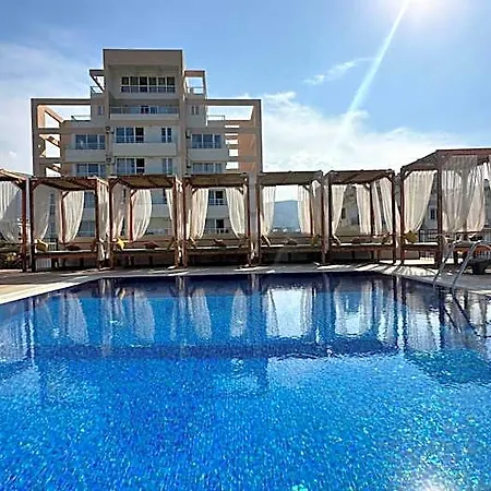 Olivia Palm Hotel