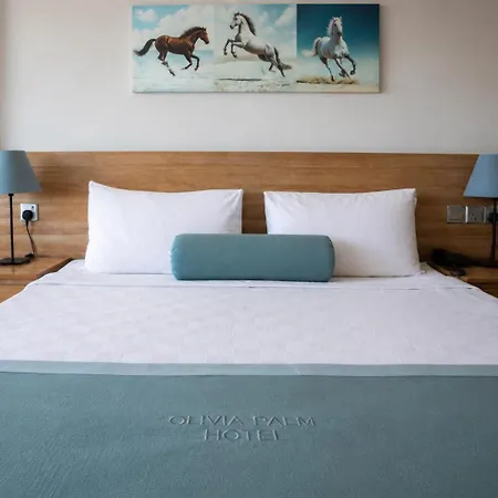 Olivia Palm Hotel 4*