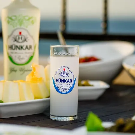 Olivia Palm 凯里尼亚