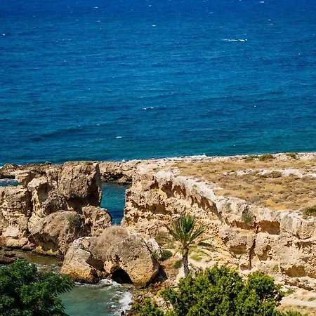 Olivia Palm Hotel 3*