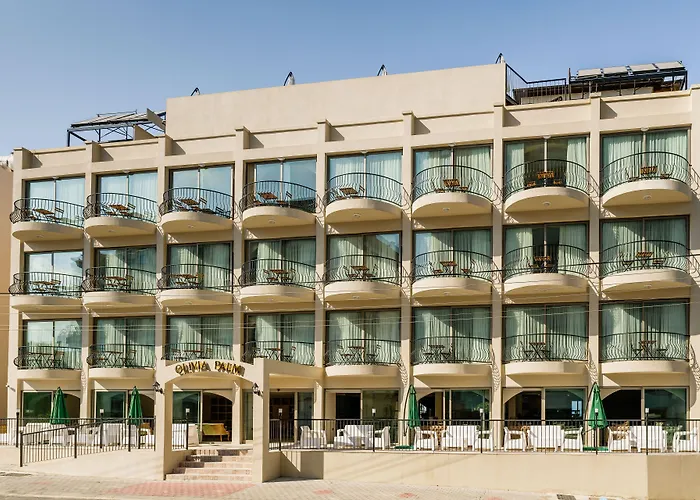 Olivia Palm キレニア