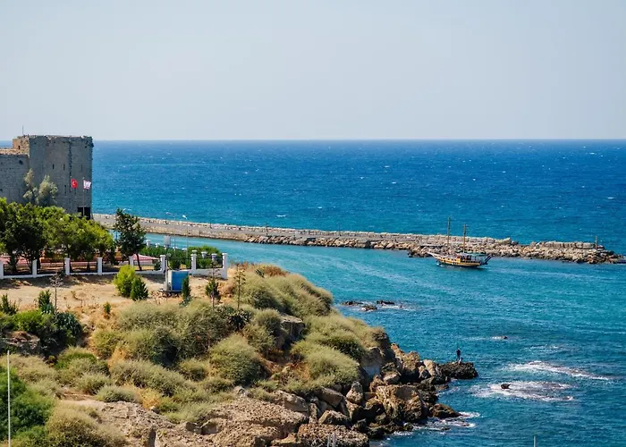 Olivia Palm ホテル