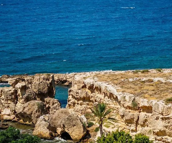 Olivia Palm Hotel 3*